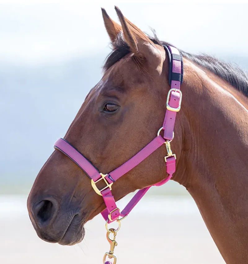 Topaz Nylon Headcollar Raspberry pony